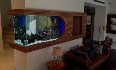 Deniz Akvaryumları